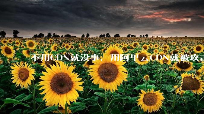 不用CDN就没事，用阿里云CDN就被攻击刷流量，阿里云表示证明不了就要用户买单，如何看到这种行为？
