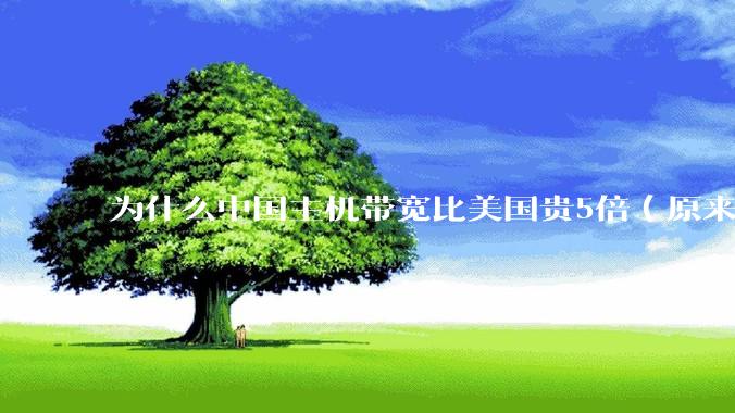 为什么中国主机带宽比美国贵5倍（原来错误的10000倍），比如阿里云？