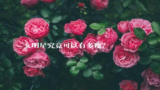 女明星究竟可以有多瘦？