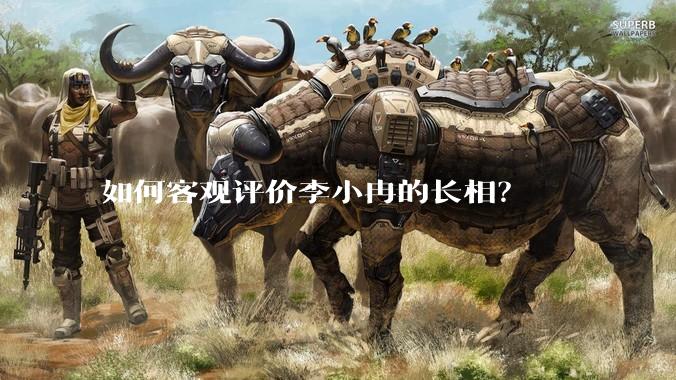 如何客观评价李小冉的长相？