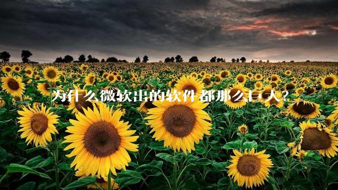 为什么微软出的软件都那么巨大？