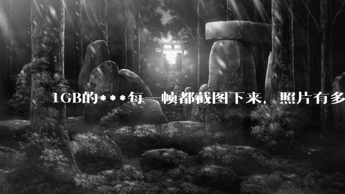 1GB的***每一帧都截图下来，照片有多少GB？