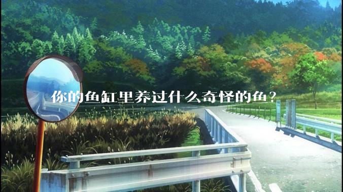 你的鱼缸里养过什么奇怪的鱼？